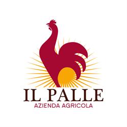 Azienda Agricola Il Palle