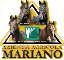 Azienda Agricola Mariano SPA