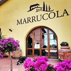 Azienda Agricola Marrucola Di Bellucci Mariella