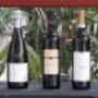 Vini Italiani Tipici