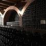 Azienda Agricola Ricchi
