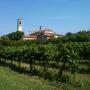 Azienda Agricola Solari Foto Gallery Pgol 1