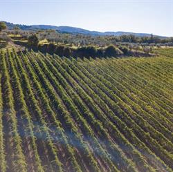 Azienda Agricola Terre Di Melazzano