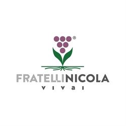 Azienda Agricola Vivai F.lli Nicola
