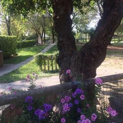 Agriturismo Al Vecio Moraro