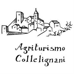 Azienda Agrituristica Colle Lignani