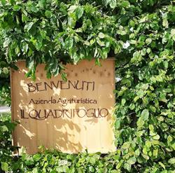 Azienda Agrituristica Il Quadrifoglio