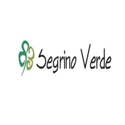Segrino Verde