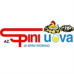 Azienda Spini Uova