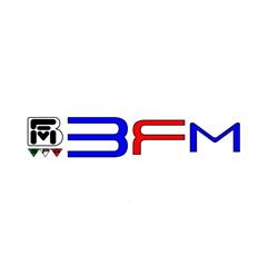 Società B.F.M. SPA - Utensileria