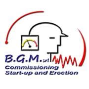B.G.M. SRL