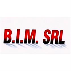 B.I.M