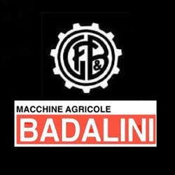 Badalini Giorgio