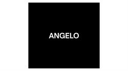 ANGELO BALDIN S.R.L.