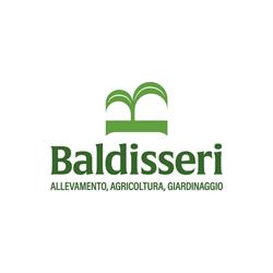 Baldisseri Maria (S.n.c.)