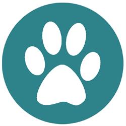 Clinica Veterinaria Aurelia