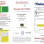 Bilance Industriali Automotive