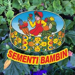 Bambin Sementi