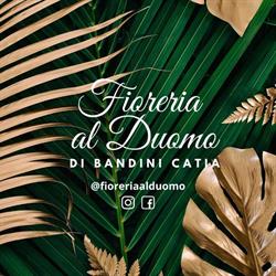 Bandini Catia