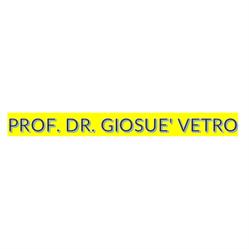 Prof. Dr. Giosue' Vetro