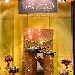 Baobab SNC