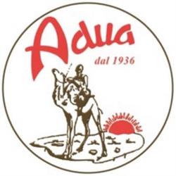 Adua