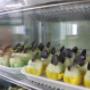 Gallery Professionale