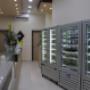 Gallery Professionale
