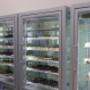 Gallery Professionale