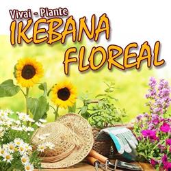 Vivai Piante Ikebana Floreal Di Senatore S.