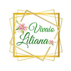 Vivaio Liliana