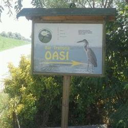 Bar Oasi
