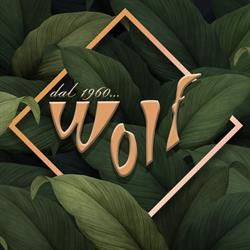 Bar Wolf Di Cavedagna Andrea