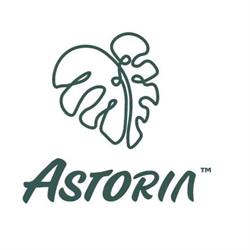 Bar Astoria