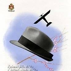 Barbisio Di Mercurio Pietro & F.lli S.n.c.