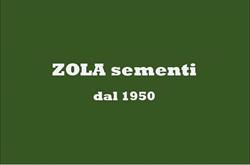 Sementi Zola