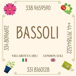 Bassoli Ivano