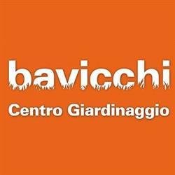 BAVICCHI S.P.A.