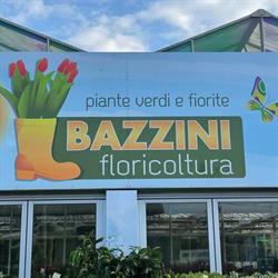 Floricoltura Bazzini Paolo
