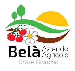 Azienda Agricola Belà Luigi