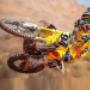 Motocross