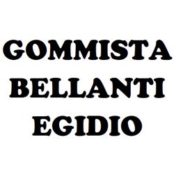 Gommista Bellanti Egidio
