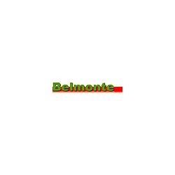 Belmonte - Zincatura