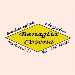 Benaglia SAS Di Benaglia