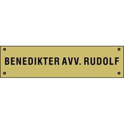 Benedikter Avv. Rudolf