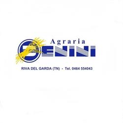 Benini (S.n.c.)