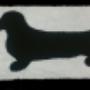 Bassotto, 100% cotone, pelo alto mm 23