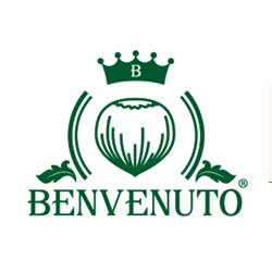 Benvenuto