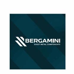 Bergamini