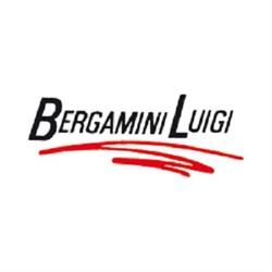 Bergamini Luigi